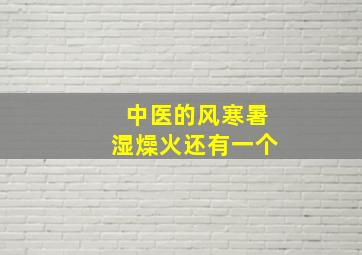 中医的风寒暑湿燥火还有一个