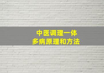 中医调理一体多病原理和方法