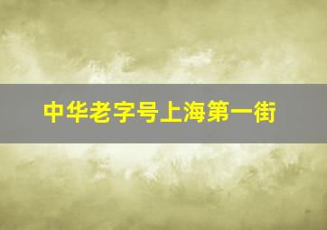 中华老字号上海第一街