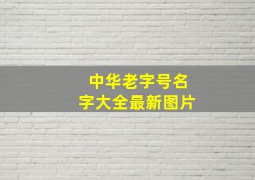 中华老字号名字大全最新图片