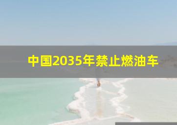 中国2035年禁止燃油车