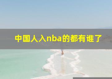 中国人入nba的都有谁了