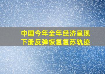 中国今年全年经济呈现下册反弹恢复复苏轨迹