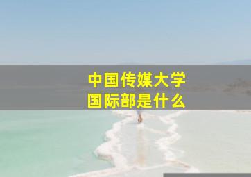 中国传媒大学国际部是什么