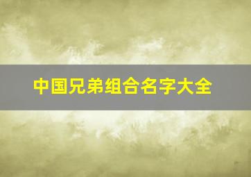 中国兄弟组合名字大全