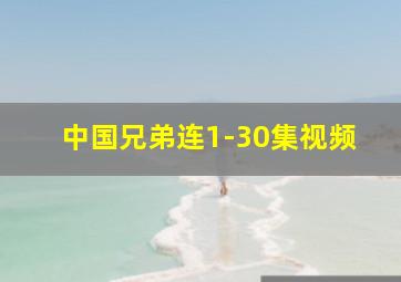 中国兄弟连1-30集视频