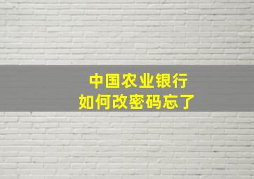 中国农业银行如何改密码忘了