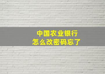 中国农业银行怎么改密码忘了