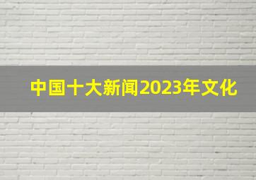 中国十大新闻2023年文化