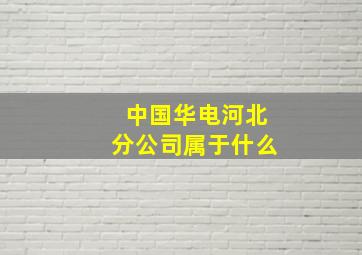 中国华电河北分公司属于什么