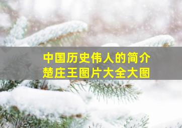 中国历史伟人的简介楚庄王图片大全大图