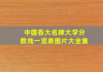 中国各大名牌大学分数线一览表图片大全集