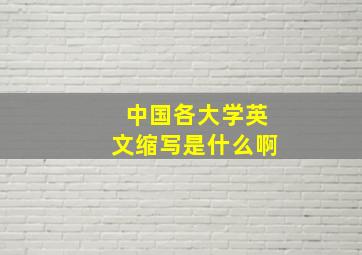 中国各大学英文缩写是什么啊