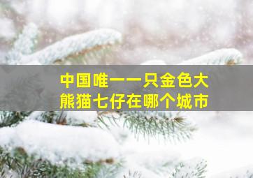 中国唯一一只金色大熊猫七仔在哪个城市