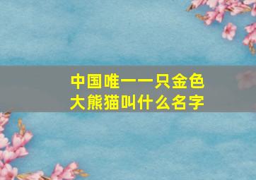 中国唯一一只金色大熊猫叫什么名字