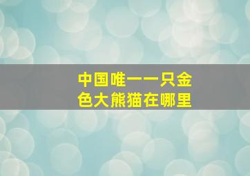 中国唯一一只金色大熊猫在哪里