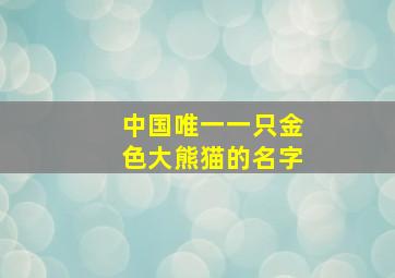 中国唯一一只金色大熊猫的名字