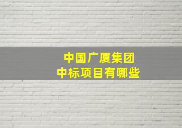 中国广厦集团中标项目有哪些