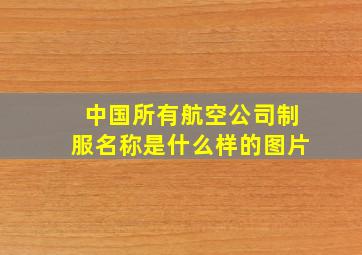 中国所有航空公司制服名称是什么样的图片