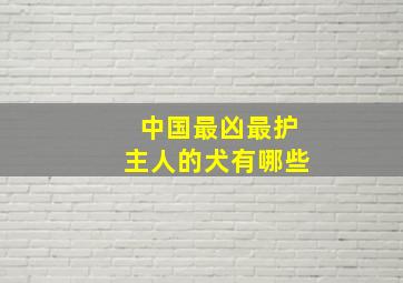 中国最凶最护主人的犬有哪些