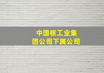 中国核工业集团公司下属公司