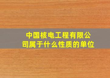 中国核电工程有限公司属于什么性质的单位