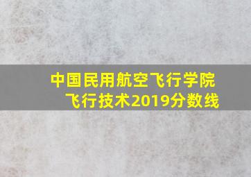 中国民用航空飞行学院飞行技术2019分数线