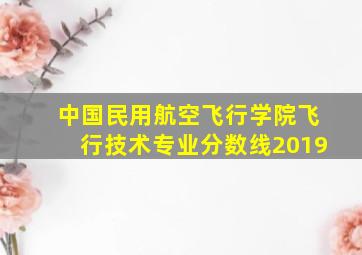 中国民用航空飞行学院飞行技术专业分数线2019