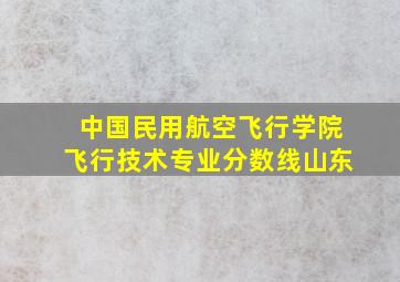 中国民用航空飞行学院飞行技术专业分数线山东