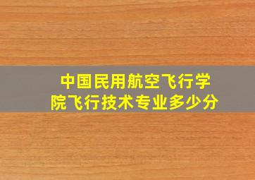 中国民用航空飞行学院飞行技术专业多少分