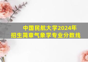 中国民航大学2024年招生简章气象学专业分数线