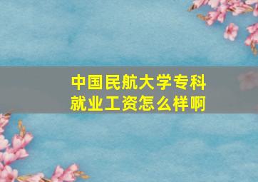 中国民航大学专科就业工资怎么样啊