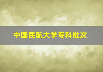 中国民航大学专科批次