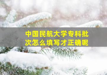 中国民航大学专科批次怎么填写才正确呢