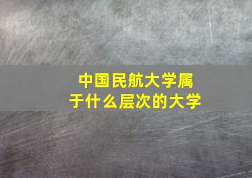 中国民航大学属于什么层次的大学