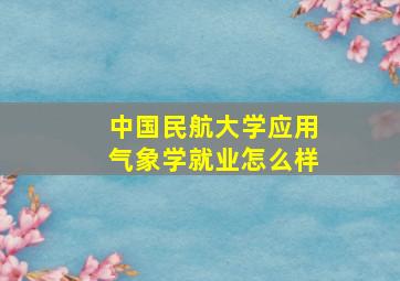 中国民航大学应用气象学就业怎么样