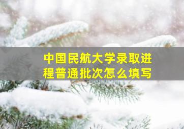 中国民航大学录取进程普通批次怎么填写