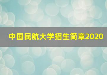 中国民航大学招生简章2020