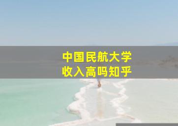 中国民航大学收入高吗知乎