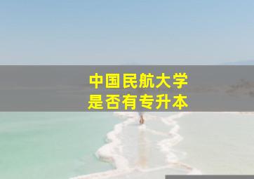 中国民航大学是否有专升本