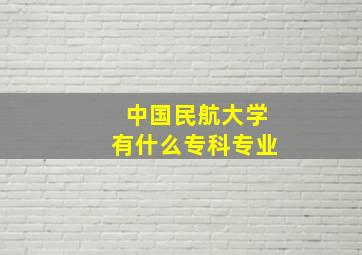 中国民航大学有什么专科专业