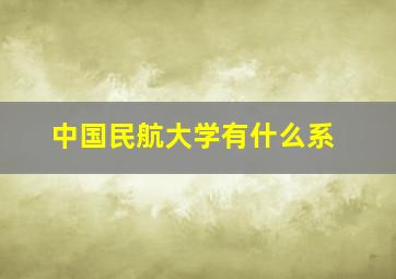 中国民航大学有什么系