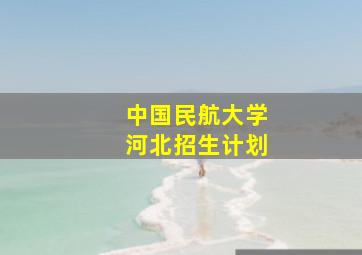 中国民航大学河北招生计划