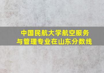 中国民航大学航空服务与管理专业在山东分数线