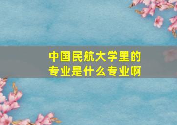 中国民航大学里的专业是什么专业啊