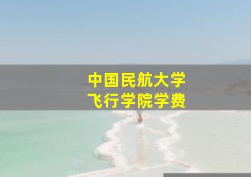 中国民航大学飞行学院学费