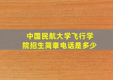 中国民航大学飞行学院招生简章电话是多少