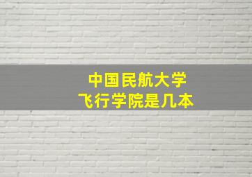 中国民航大学飞行学院是几本