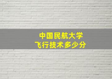 中国民航大学飞行技术多少分