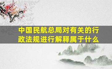 中国民航总局对有关的行政法规进行解释属于什么